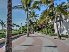Miami (US)