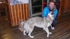 Tomek i schroniskowy pies - czeski wilk.