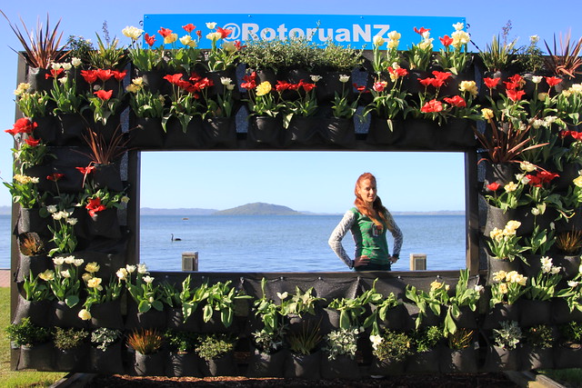 Nueva Zelanda, Aotearoa: El viaje de mi vida por la Tierra Media - Blogs de Nueva Zelanda - Día 7 - 6/10/15 - Hobbiton, Rotorua, Mitai Maori Village y Rainbow Springs (70)