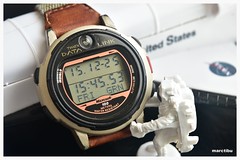 Timex Data Link  Model 70302