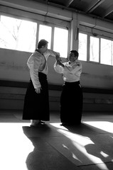 Aikido Training