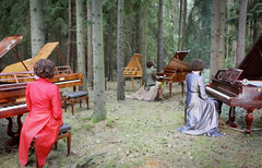5 pianos in magic forest