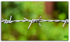 Thorn fence / Barbed wire with colorful bokeh background