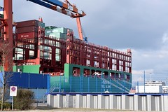 Container Hafen Hamburg