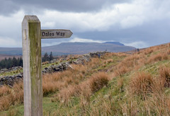 The Dales Way; The Gritstone Trail; The Sandstone Trail & Shropshire Way