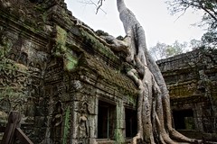 Siem Reap/Angkor, Cambodia