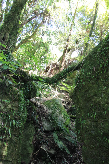 Nueva Zelanda, Aotearoa: El viaje de mi vida por la Tierra Media - Blogs de Nueva Zelanda - Día 8 - 7/10/15 - Piopio y Tongariro National Park (36)