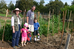 Community garden 2005