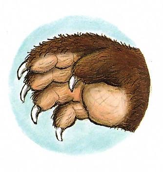 Image result for terrible claws gruffalo