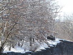 February Snow, Harsimus Branch Embankment, Jersey City  