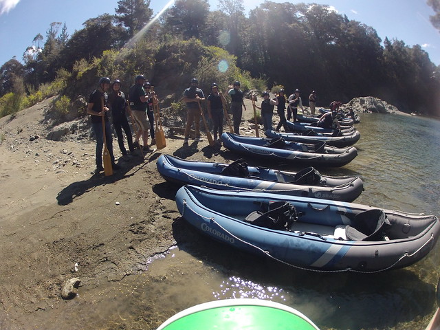 Día 13 - 12/10/15: Nelson, Ringmaker, Kayak en Pelorus River y Blenheim - Nueva Zelanda, Aotearoa: El viaje de mi vida por la Tierra Media (54)