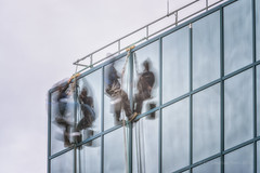 The Window Cleaners