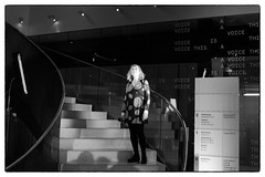 Joan La Barbara @ This Is A Voice, Wellcome Collection, London, 13th April 2016