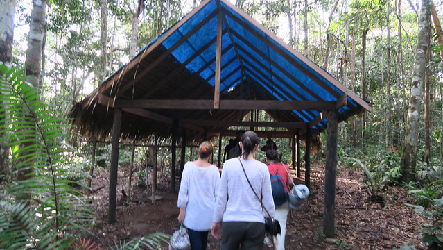 hammock shelter amazon rainforest tupana