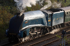 Preserved UK Standard Gauge Steam