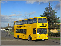 Buses - Country Lion