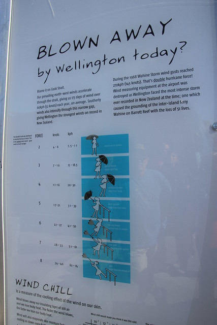Día 11 - 10/10/15: Wellington: Mt. Victoria, Museo Te Papa y Cable Car - Nueva Zelanda, Aotearoa: El viaje de mi vida por la Tierra Media (35)