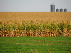 Rural Illinois