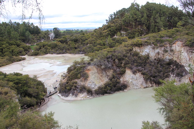 Día 4 - 3/10/15 - Rotorua: Wai - O - Tapu, Te Puia y Waitomo Caves - Nueva Zelanda, Aotearoa: El viaje de mi vida por la Tierra Media (12)