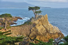 CALIFORNIA - Monterey Bay region