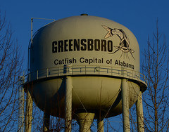 Greensboro, AL