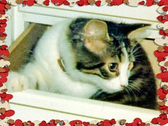 Baby Mitzi Exploring Framed With Hearts