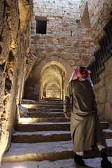 Ajloun Castle قلعة عجلون