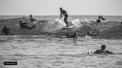 SURF VARAZZE 2016