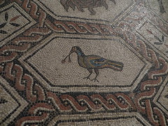 Mosaicos Romanos