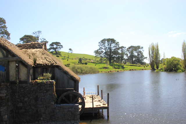 Nueva Zelanda, Aotearoa: El viaje de mi vida por la Tierra Media - Blogs de Nueva Zelanda - Día 7 - 6/10/15 - Hobbiton, Rotorua, Mitai Maori Village y Rainbow Springs (37)