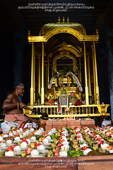 2016 - 1008 Sangabishekam -Velleeswarar Temple .