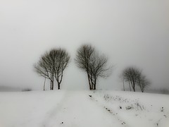 Snow & Fog
