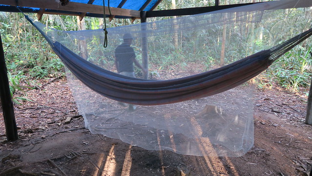 my hammock in the amazon rainforest for overnight camping