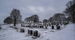 Crookes Cemetery, Sheffield