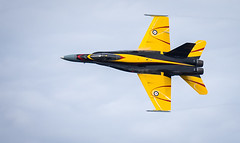 F18 Yellow Jacket