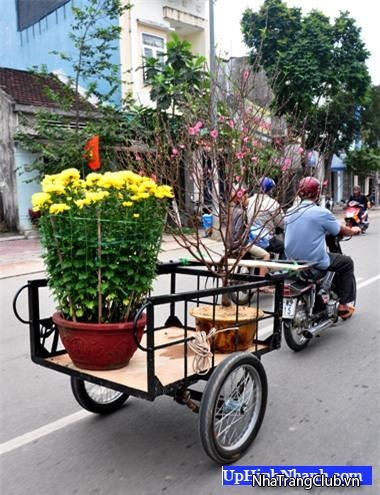 Địa chỉ bán xe lôi tự chế uy tín giá tốt tại Nam Định
