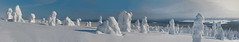 Snowy winter landscapes - Riisitunturi national park