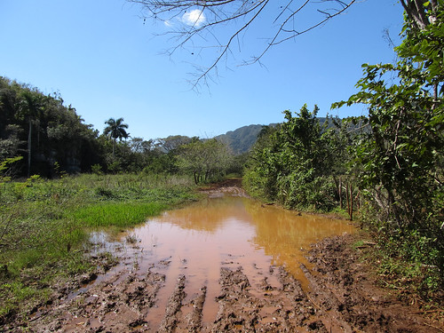 Parc National de Viñales: la flaque qui a bien failli nous faire faire demi-tour...