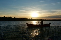 Canoeing / en canot