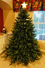 2014-11-30 STAR-Christmas tree - DSC05190