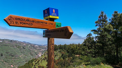 Ruta Tajinaste Azul Morro del Carnicero a Trigo Diego Las Lagunetas de San Mateo en Gran Canaria