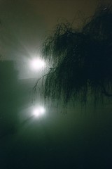 2001 12 Cambridge Fog