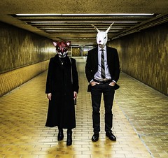 Toronto - Rabbit and the Fox