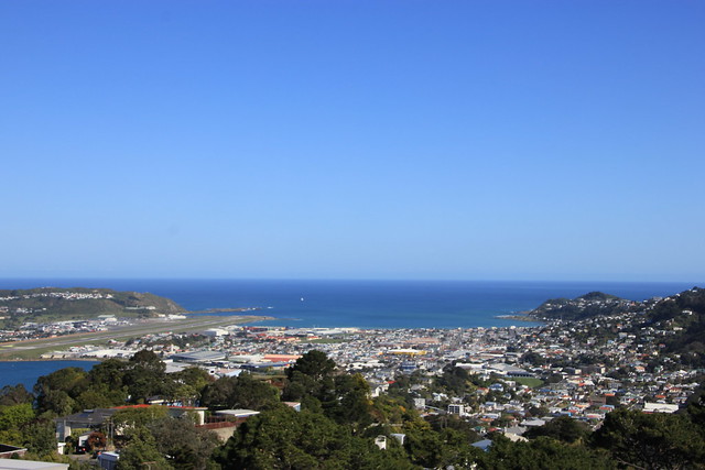Día 11 - 10/10/15: Wellington: Mt. Victoria, Museo Te Papa y Cable Car - Nueva Zelanda, Aotearoa: El viaje de mi vida por la Tierra Media (39)