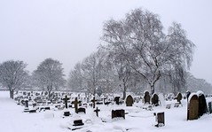 Crookes Cemetery, Sheffield, in Snowstorm