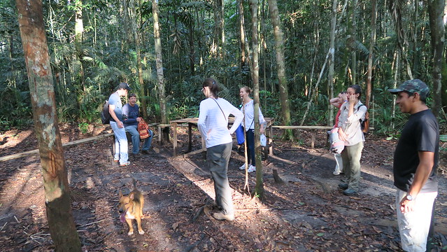 campsite amazon rainforest