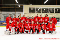 Örebro Hockey Ungdom Team 02