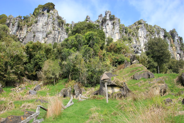 Nueva Zelanda, Aotearoa: El viaje de mi vida por la Tierra Media - Blogs de Nueva Zelanda - Día 8 - 7/10/15 - Piopio y Tongariro National Park (13)