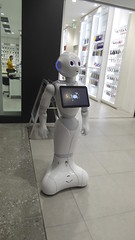 Humanoid / Robots