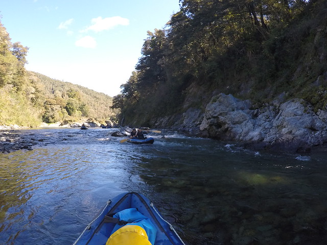 Día 13 - 12/10/15: Nelson, Ringmaker, Kayak en Pelorus River y Blenheim - Nueva Zelanda, Aotearoa: El viaje de mi vida por la Tierra Media (53)